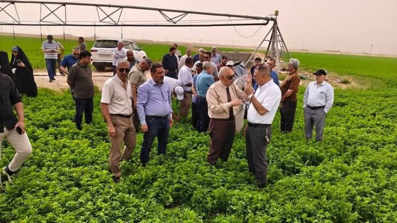 كربلاء تشهد توسعاً في زراعة