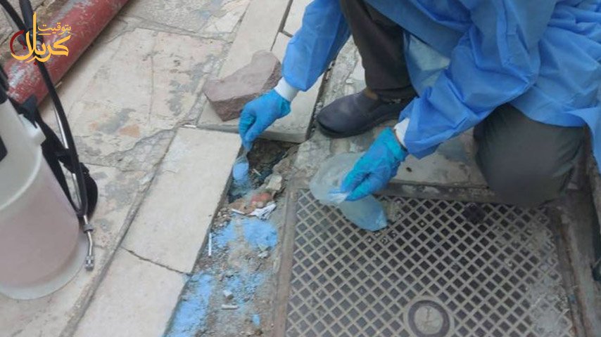 رش مادة صحية قرب أنابيب الصرف.
