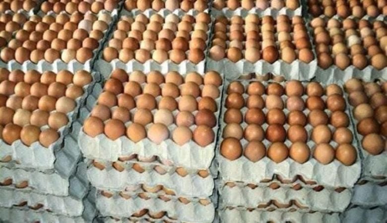 عامل يفرز البيض داخل معمل.