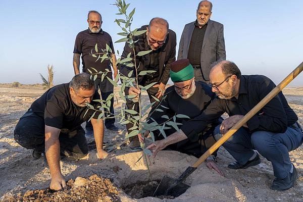 عدة أشخاص يشاركون في غرس شتلة شجرة داخل حفرة ضمن حملة تشجير.